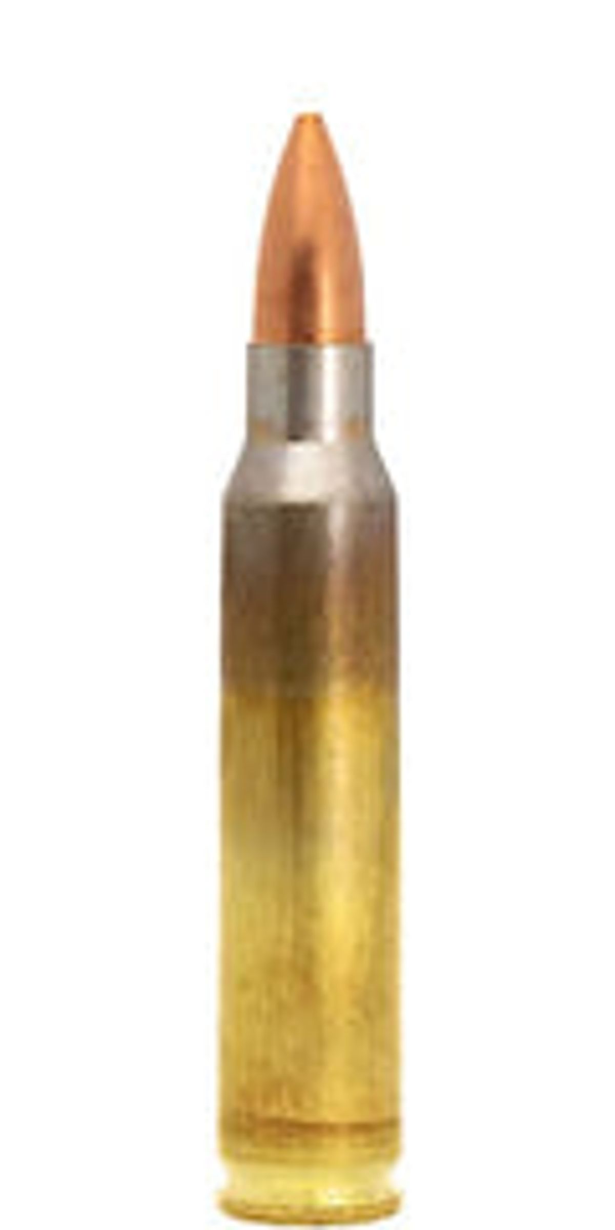 Lapua FMJ .223 Rem. 3,6g / 55 gr - 20 stk.