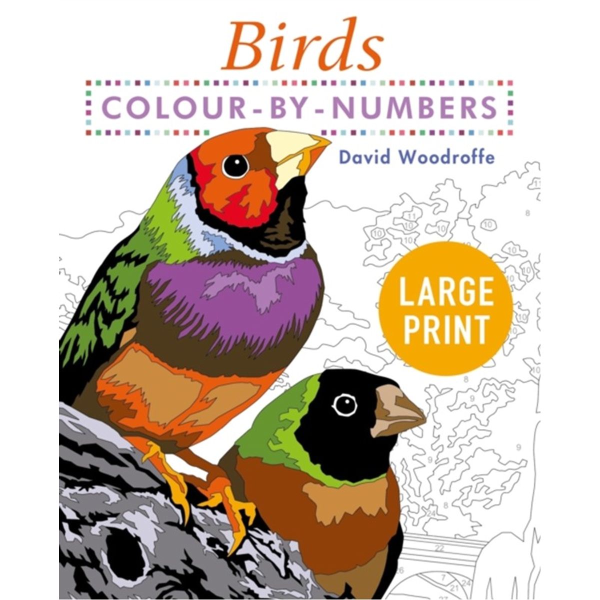 Large Print Colour by Numbers Birds