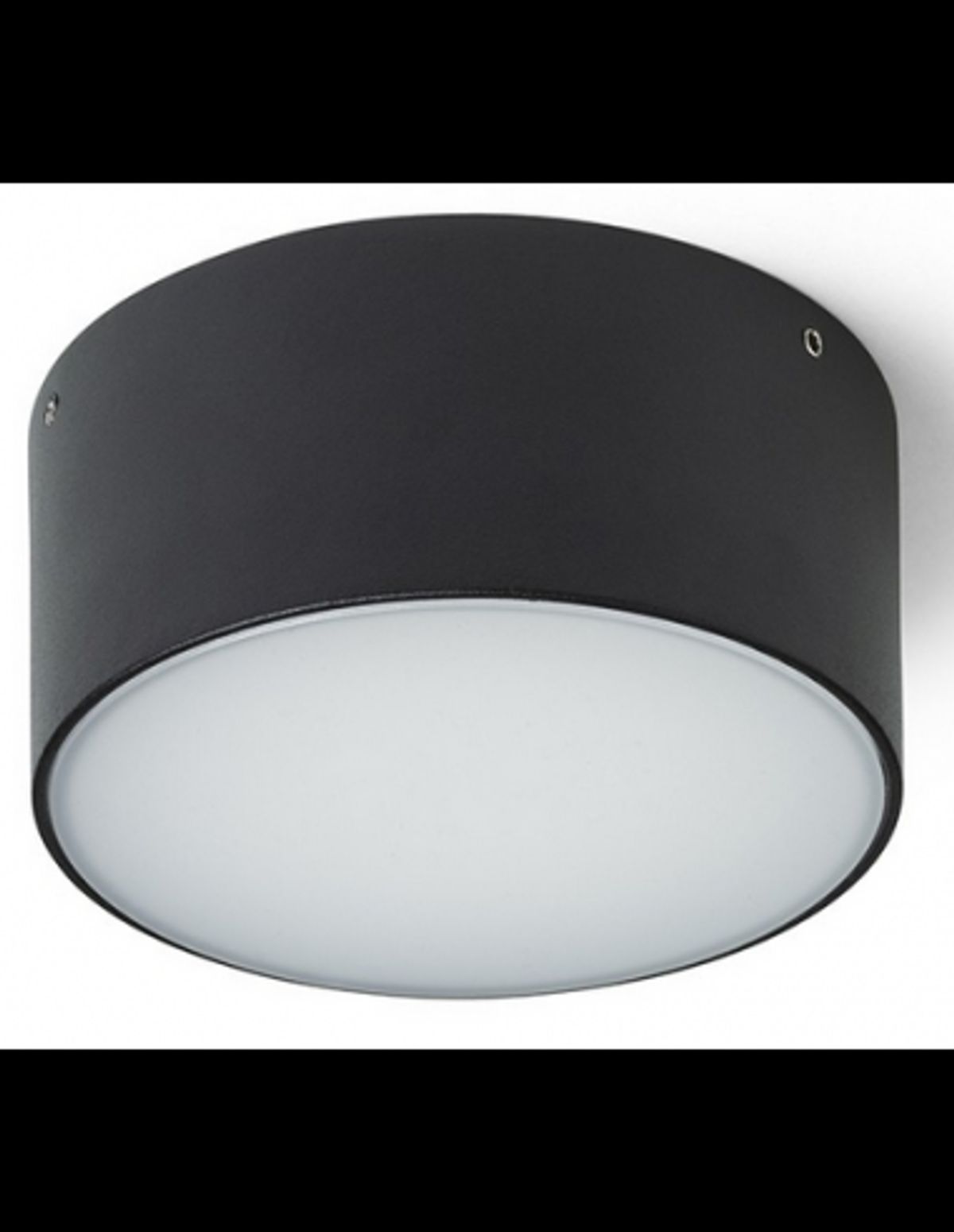 Larisa Udendørs loftlampe Ø12,3 cm 10W LED - Sort