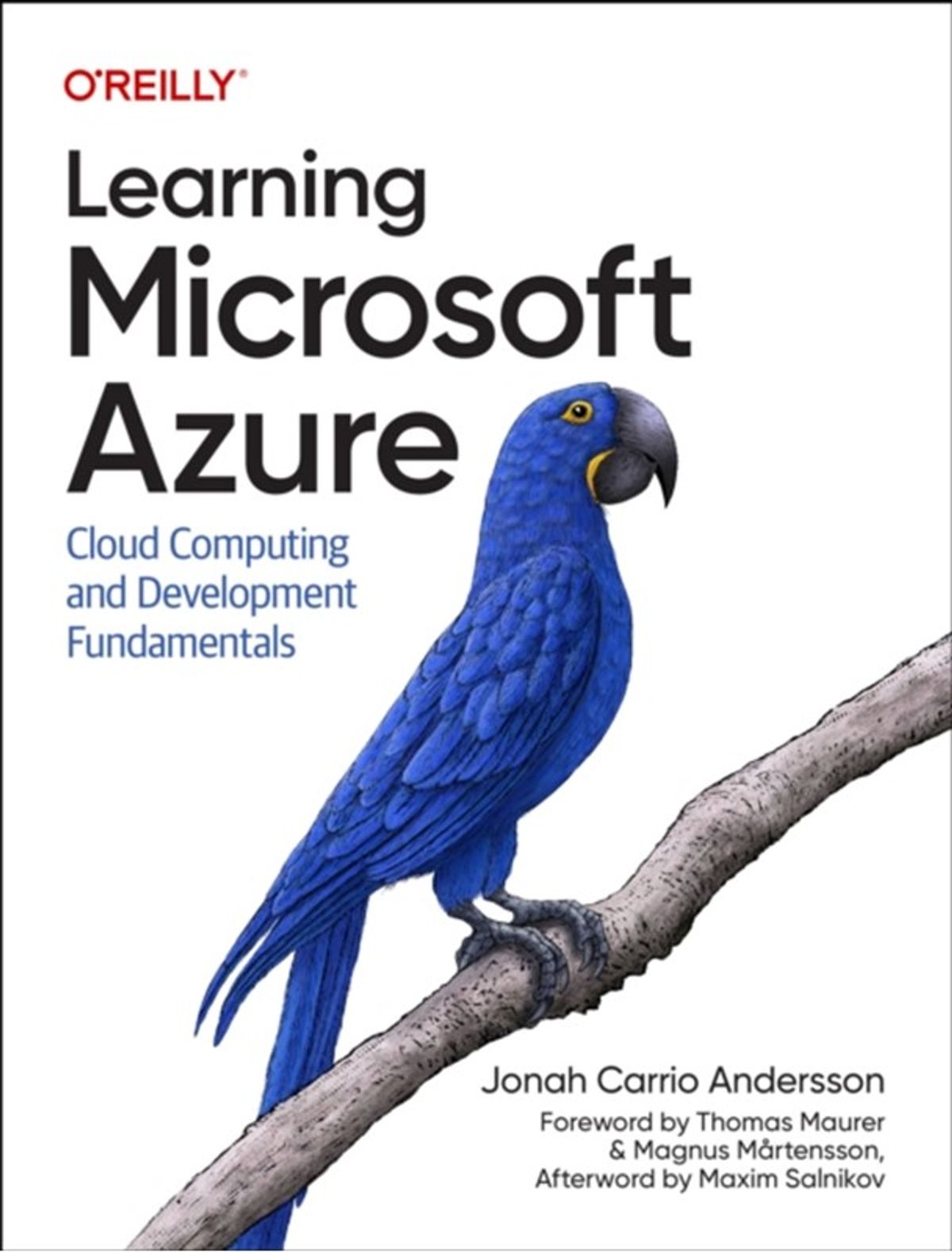 Learning Microsoft Azure