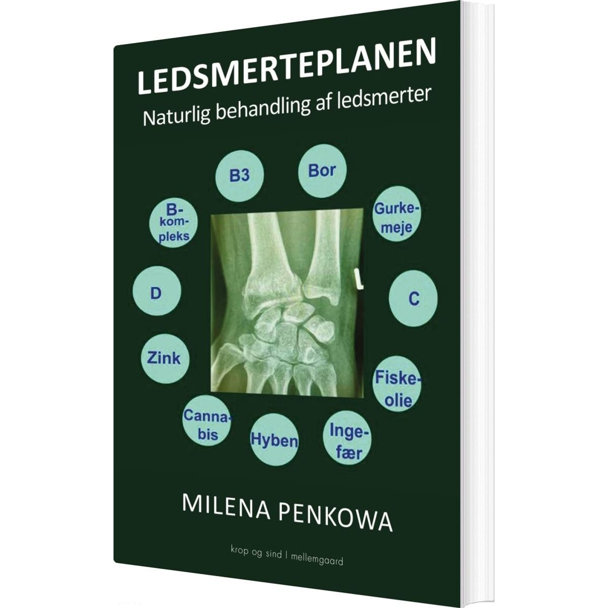 Ledsmerteplanen - Milena Penkowa - Bog