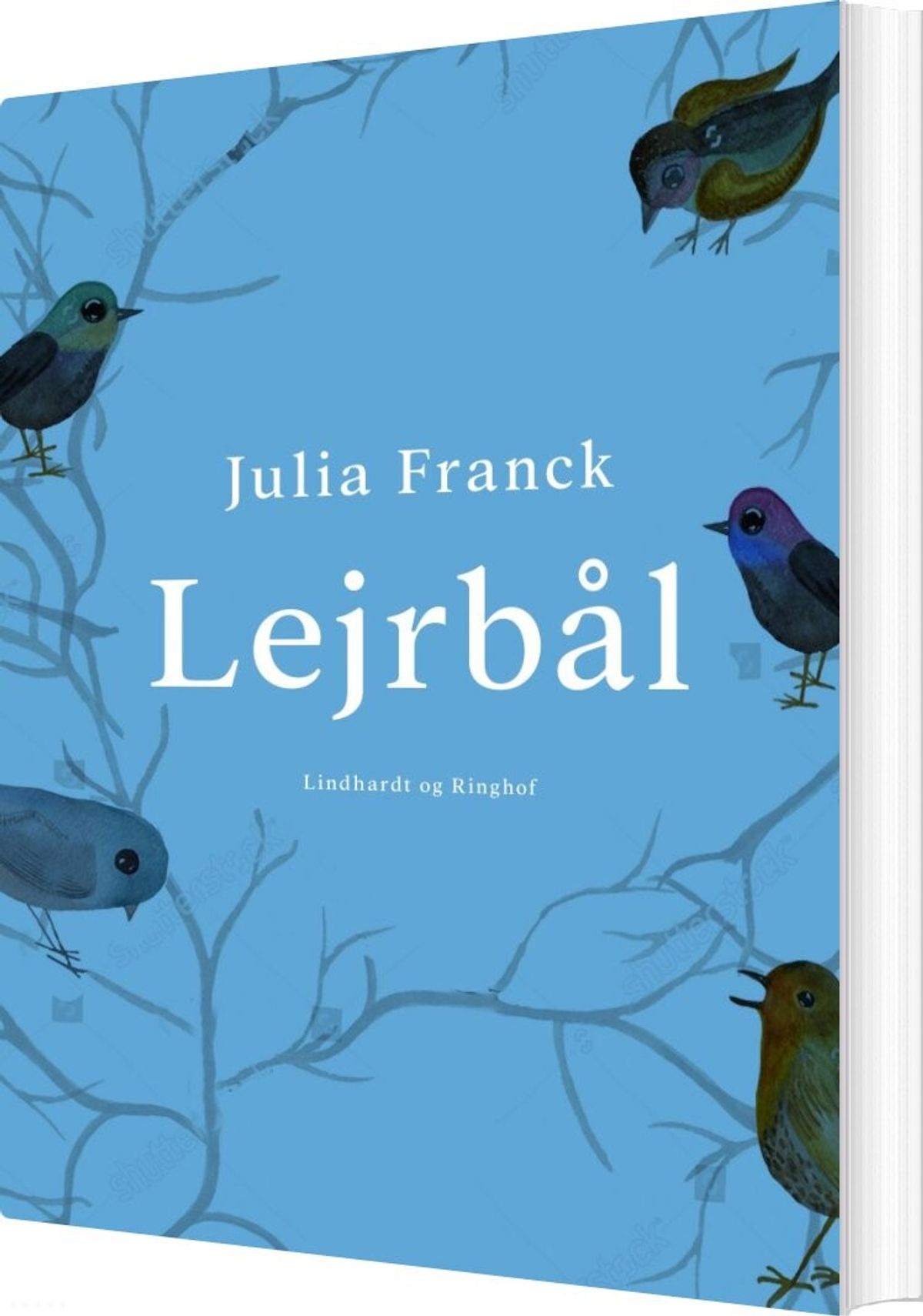 Lejrbål - Julia Franck - Bog