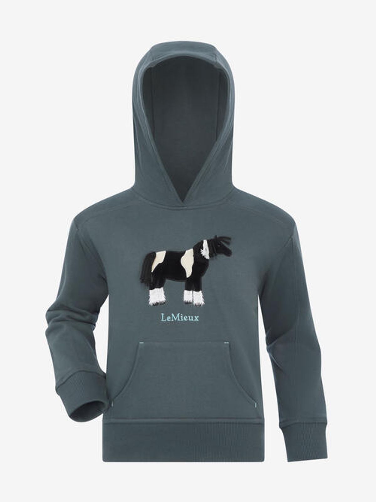 LeMieux AW24 Mini Romi Hoodie Petrol - 3-4 år