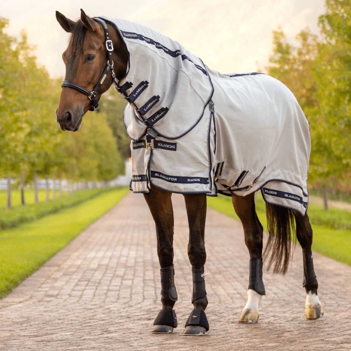 LeMieux Insektdækken - Kudos Gladiator Fly Rug