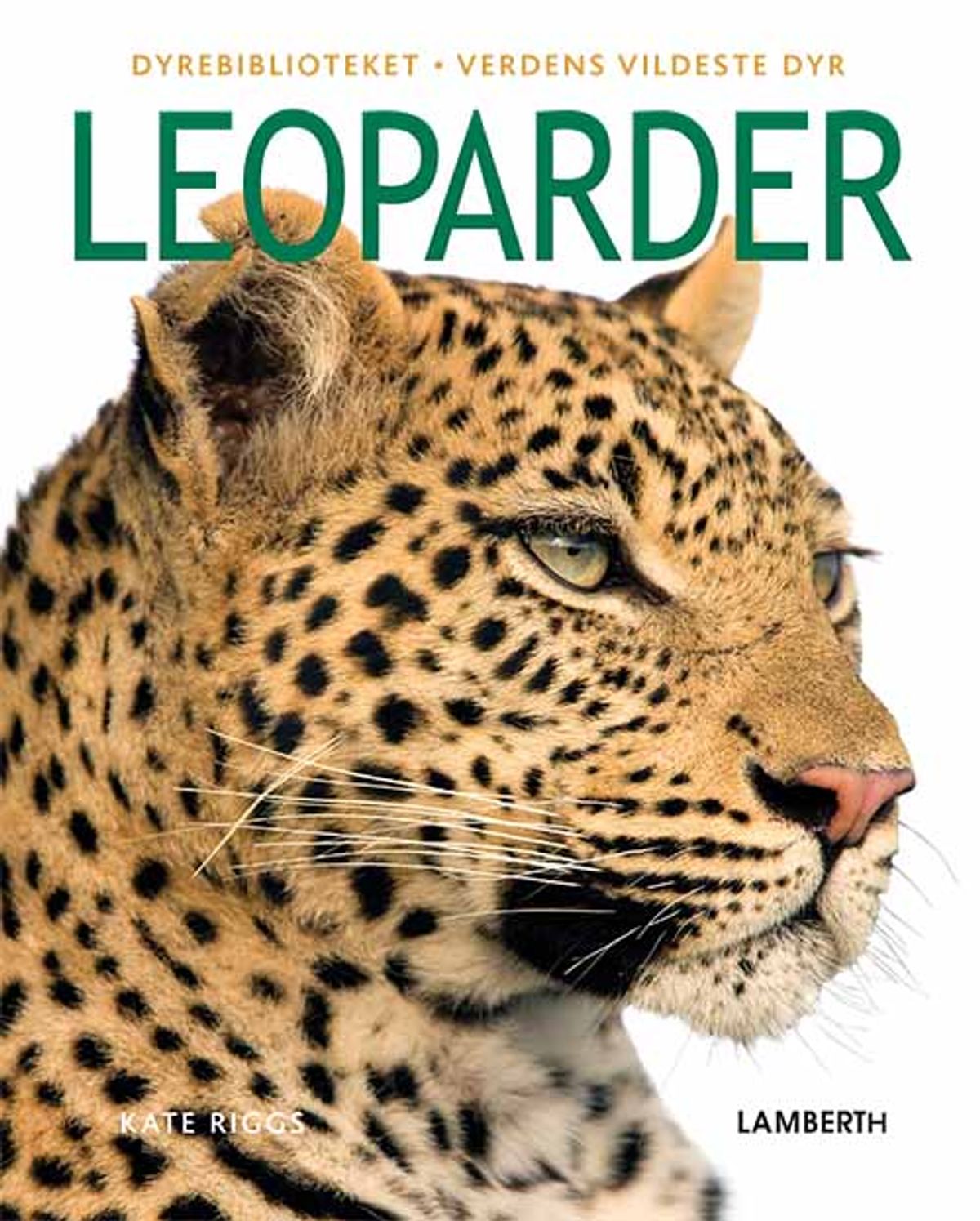 Leoparder