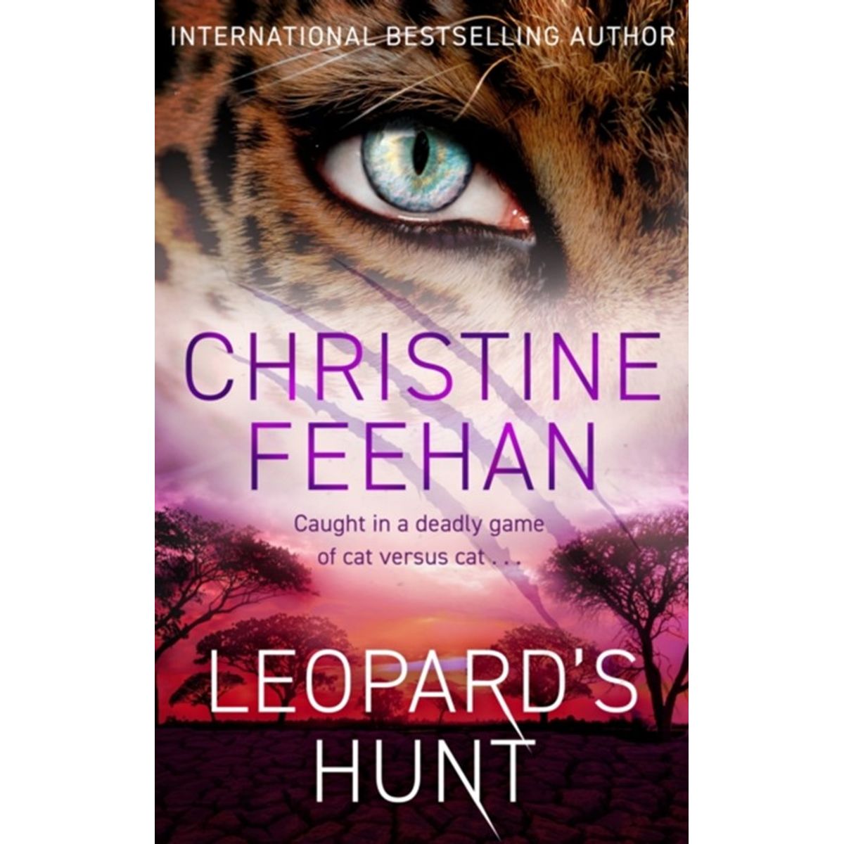 Leopard's Hunt