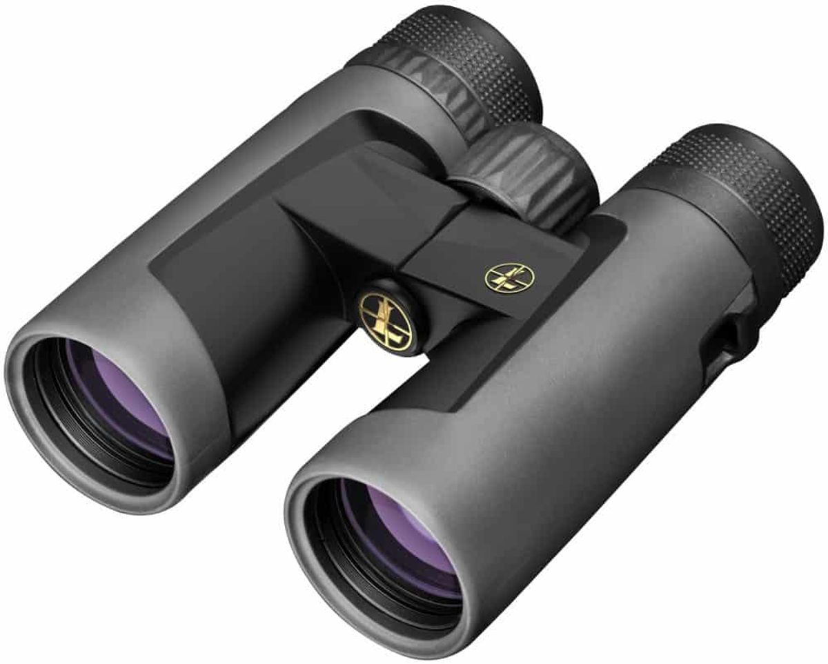 Leupold BX -2 ALPINE HD 10 x 42 shadow grey