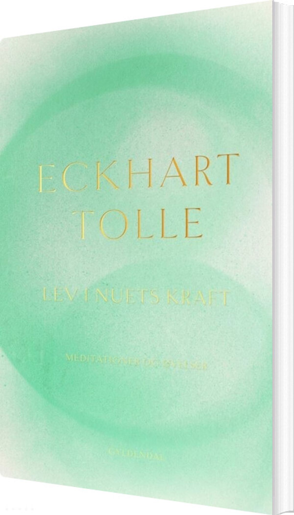 Lev I Nuets Kraft - Eckhart Tolle - Bog