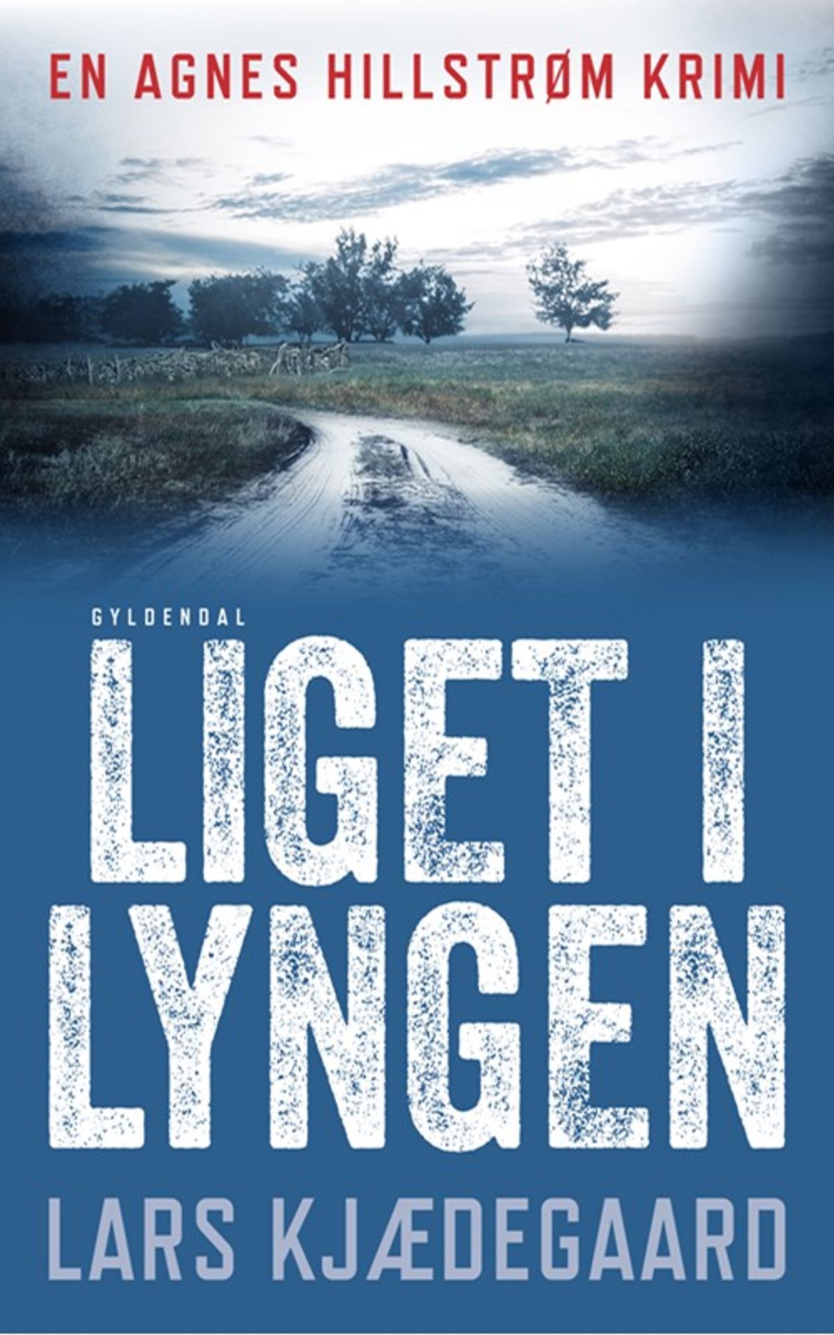 Liget i lyngen