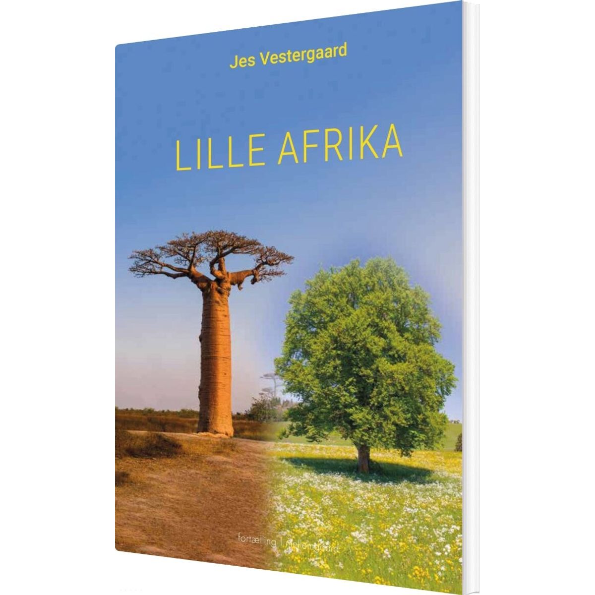 Lille Afrika - Jes Vestergaard - Bog