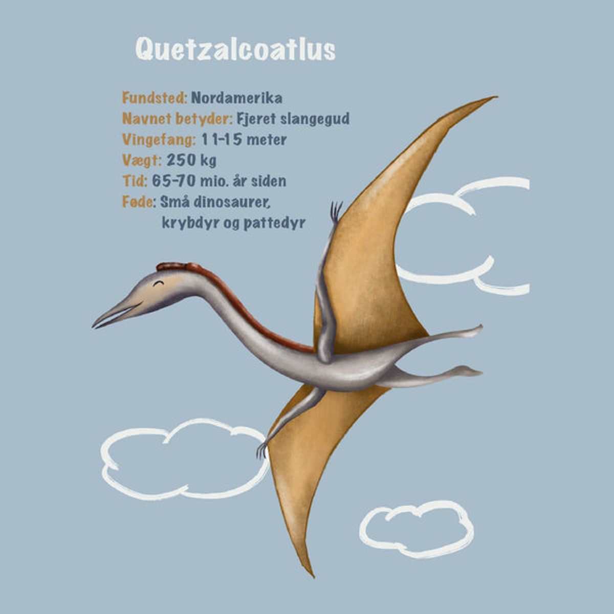 Lille Plakat Dinosaur Plakat - Quetzalcoatlus - Med Infotavle