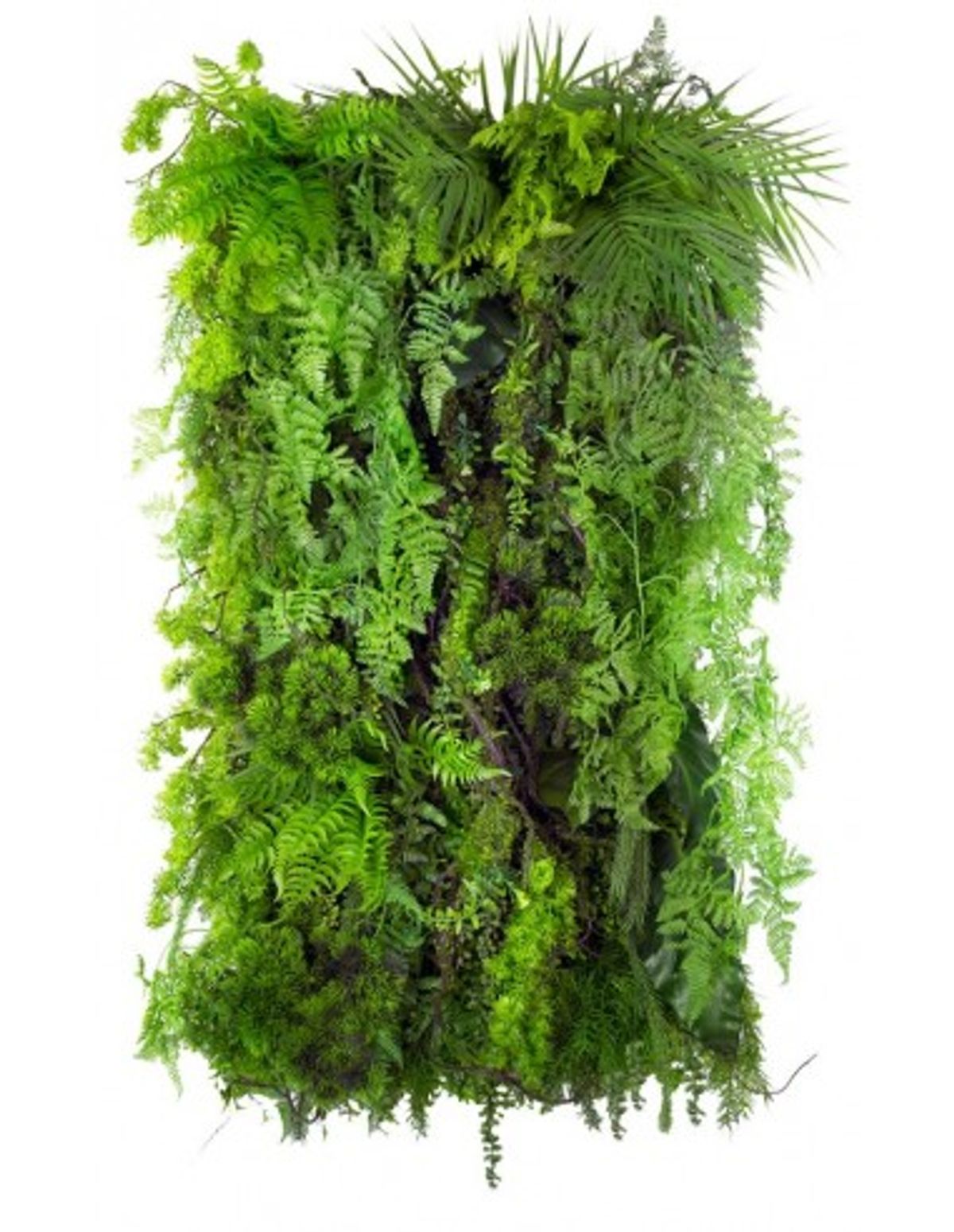 Limba Wilderness Plantevæg med kunstige planter 100 x 50 cm