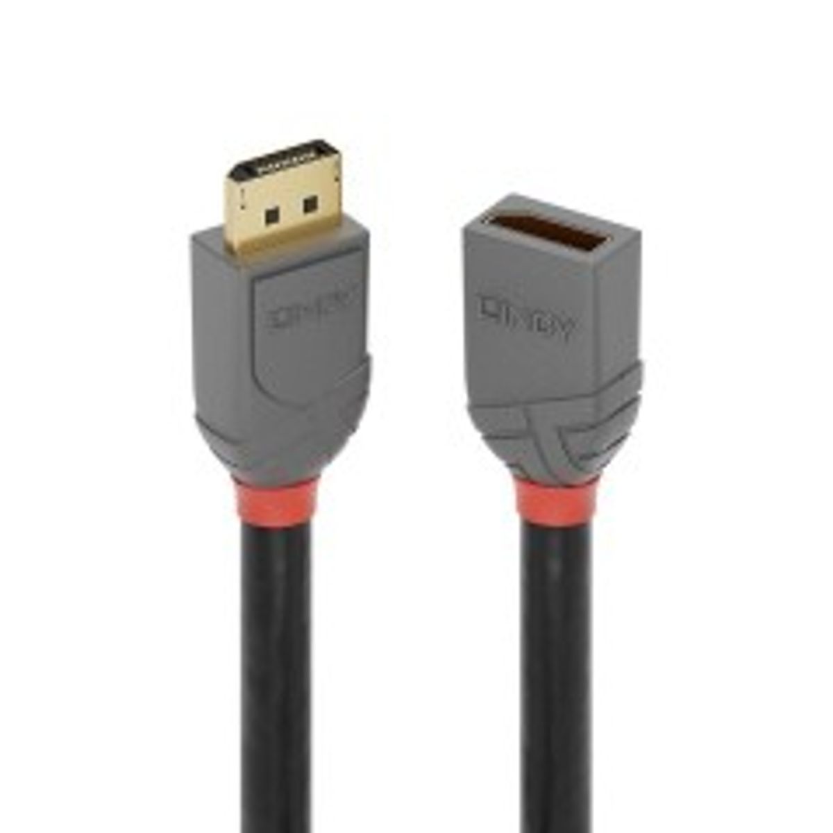 Lindy 0.5m DisplayPort Extension