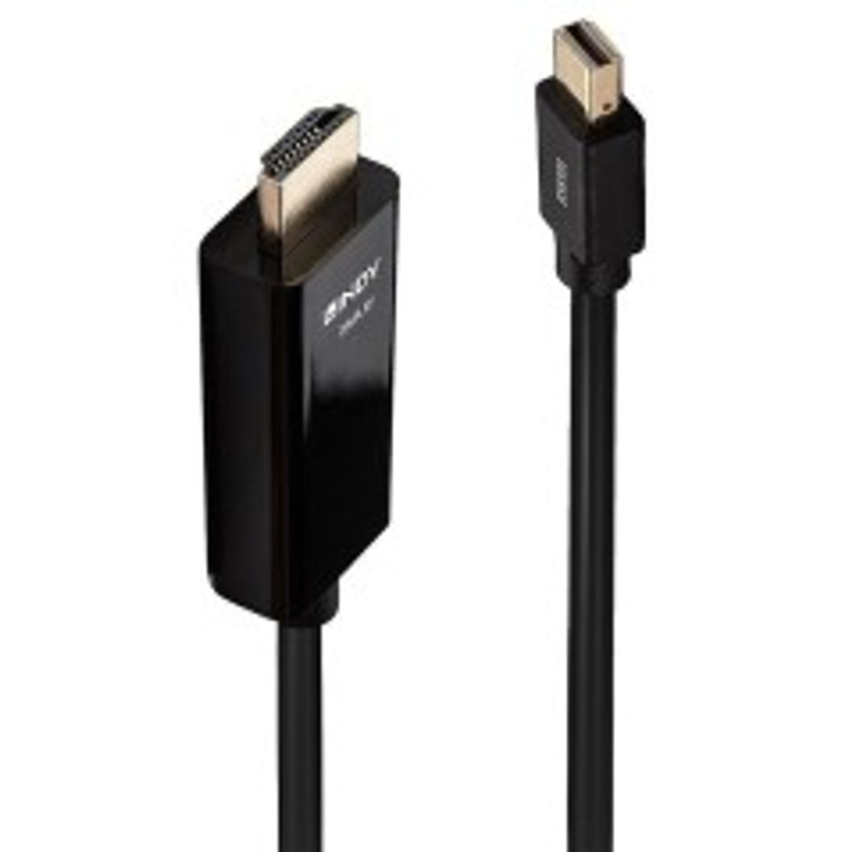 Lindy Kabel Mini Displayport/Hdmi