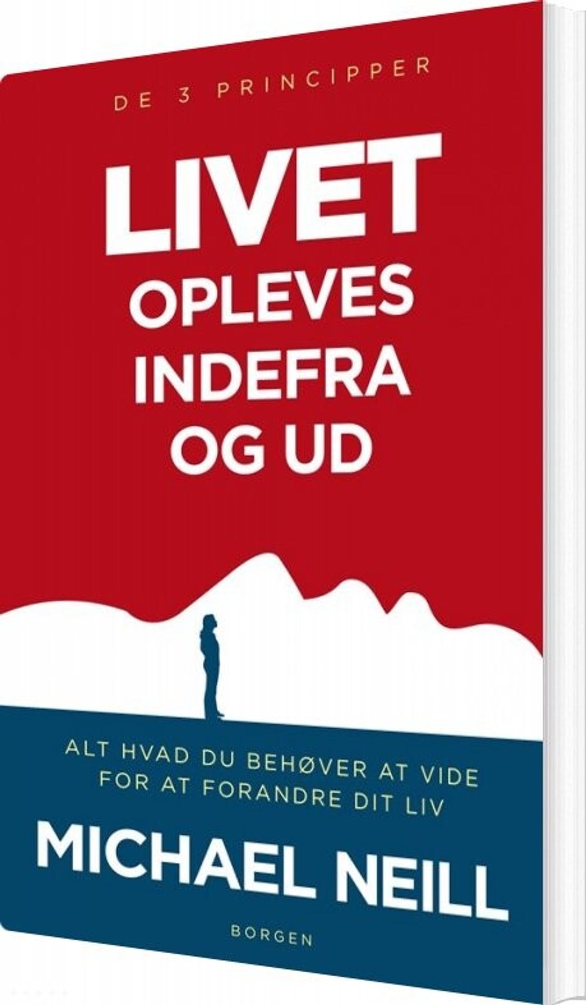 Livet Opleves Indefra Og Ud. De 3 Principper - Michael Neill - Bog