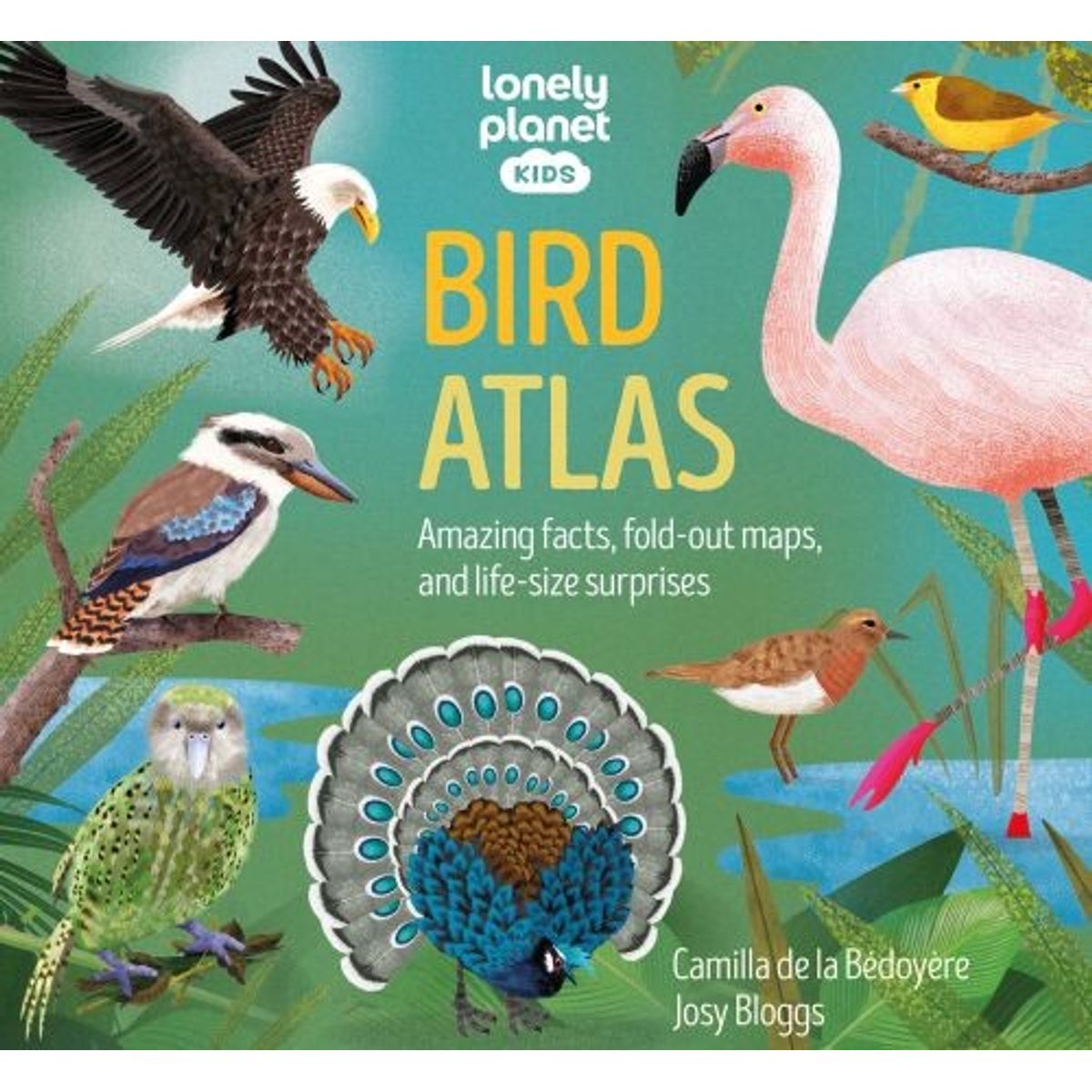 Lonely Planet Kids Bird Atlas - Lonely Planet - English Book