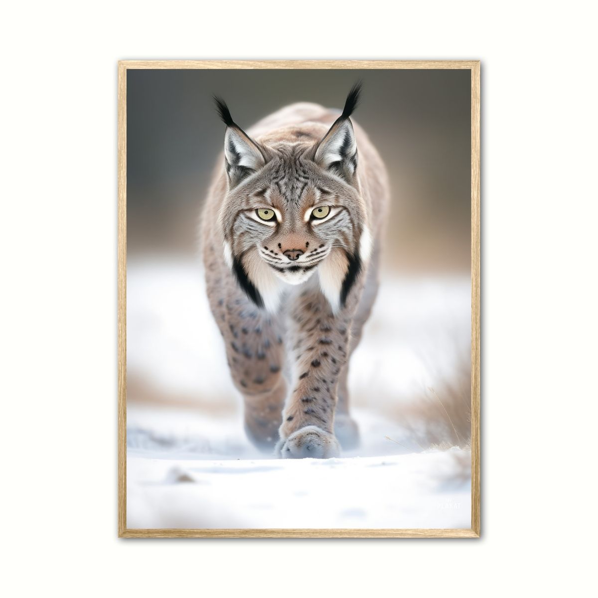 Los 1 - Wild Life plakat 30 x 40 cm