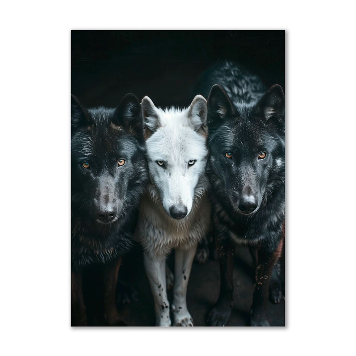 Loyal Pack - 100x140 cm. - Ingen