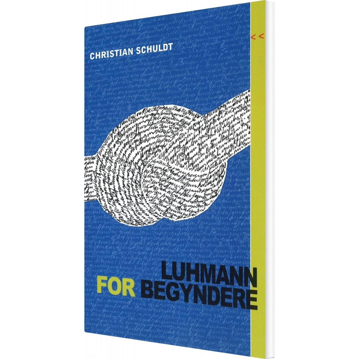 Luhmann For Begyndere - Christian Schuldt - Bog