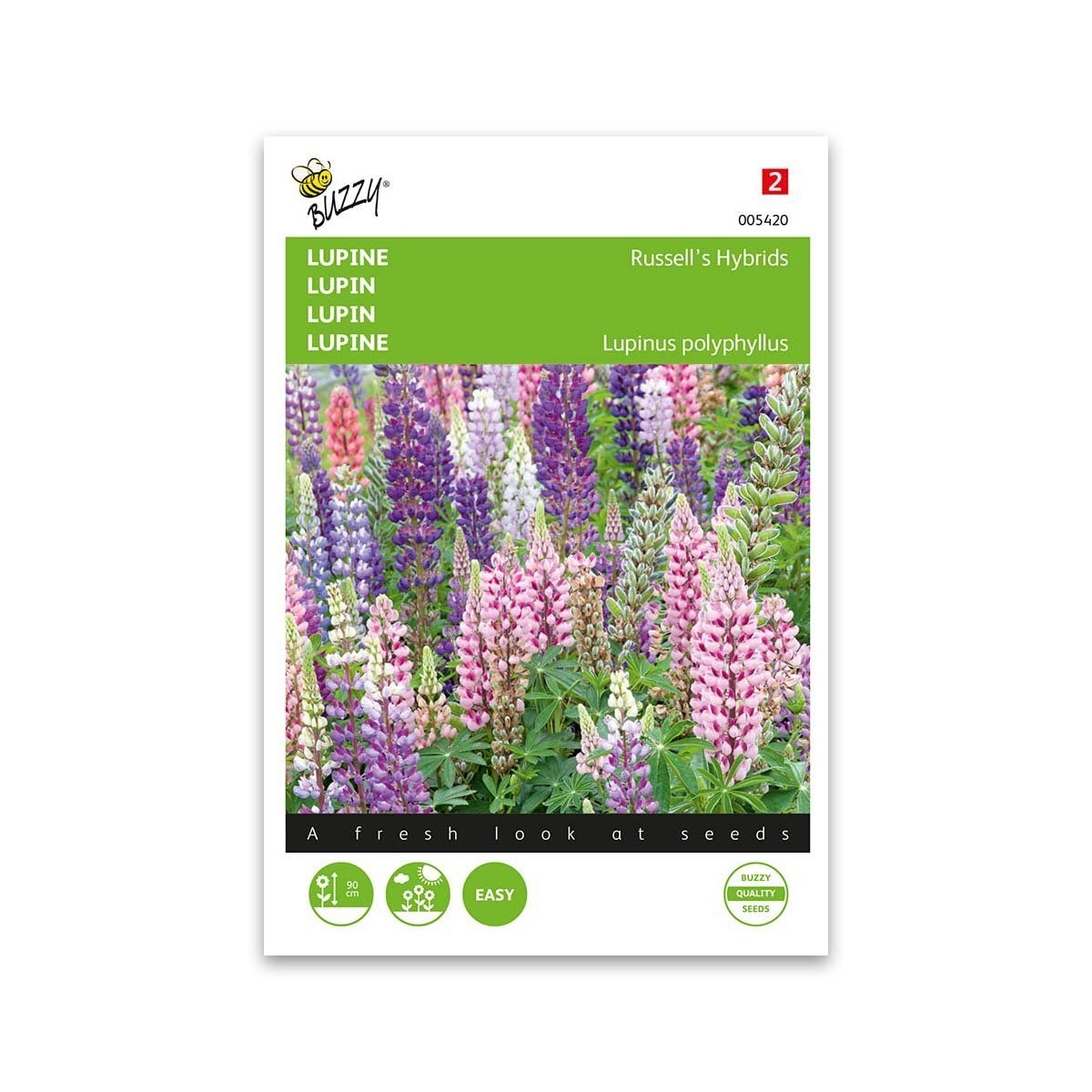 Lupin frø "Russells hybrids mix" - Buzzy