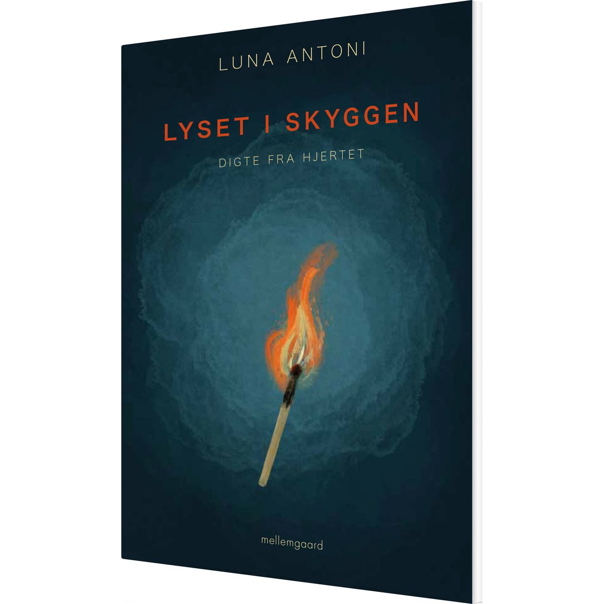 Lyset I Skyggen - Luna Antoni - Bog