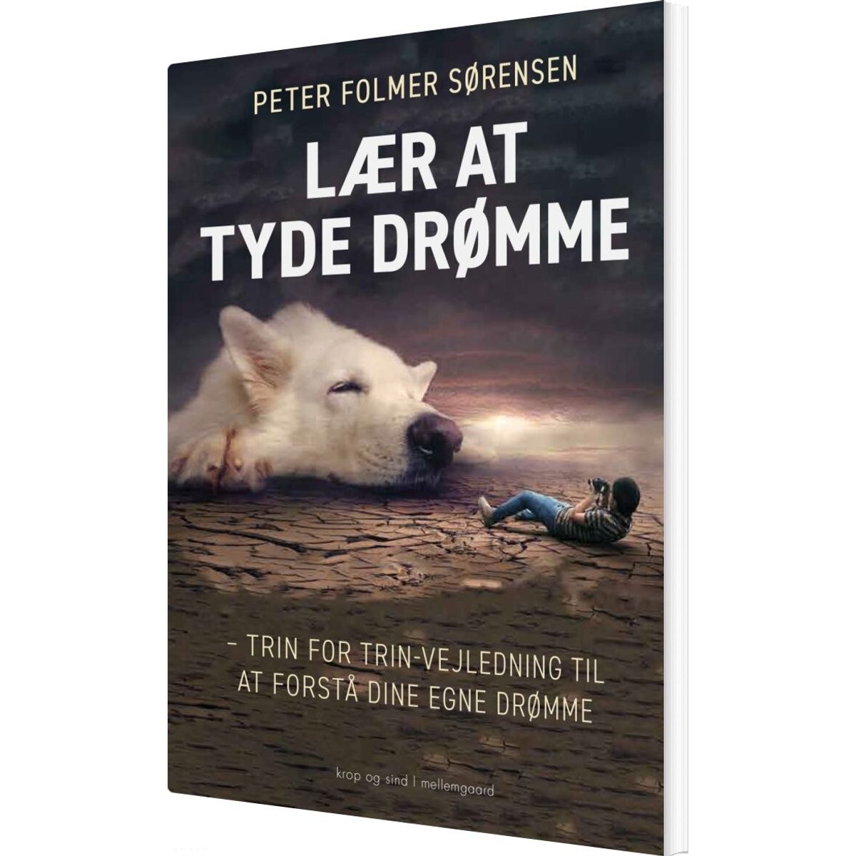 Lær At Tyde Drømme - Peter Folmer Sørensen - Bog