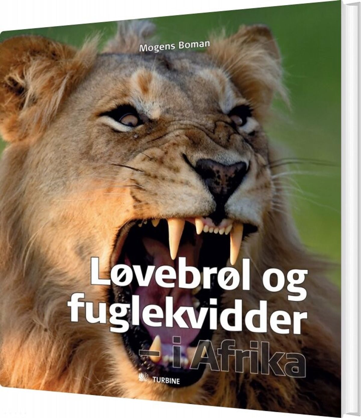 Løvebrøl Og Fuglekvidder - I Afrika - Mogens Boman - Bog