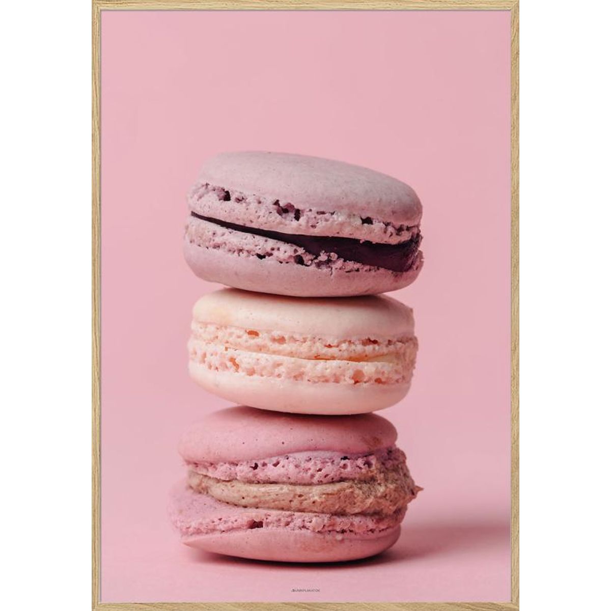 Macarons plakat - Sig det med macarons