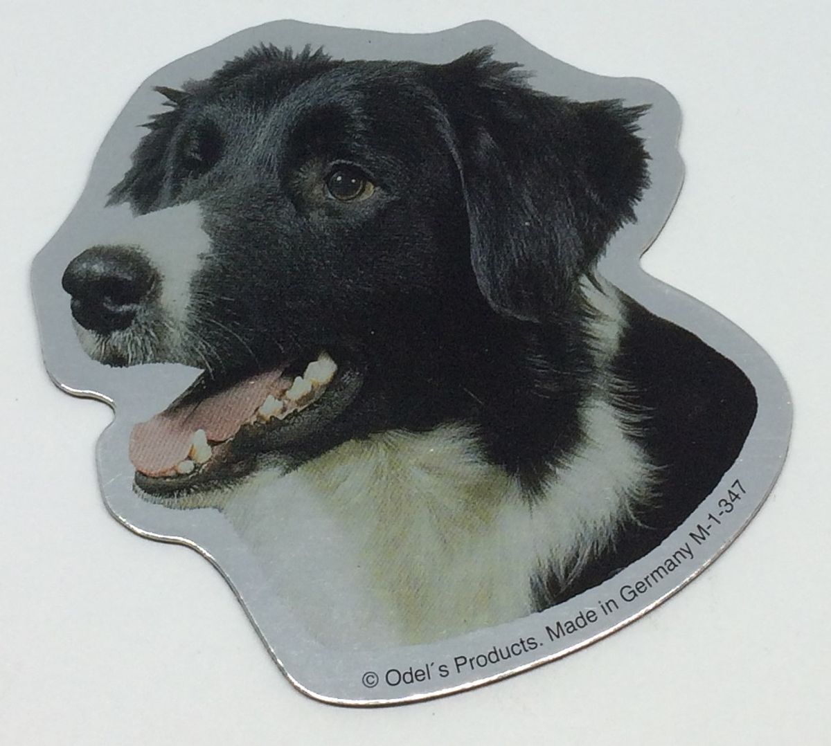 Magnet med Border Collie