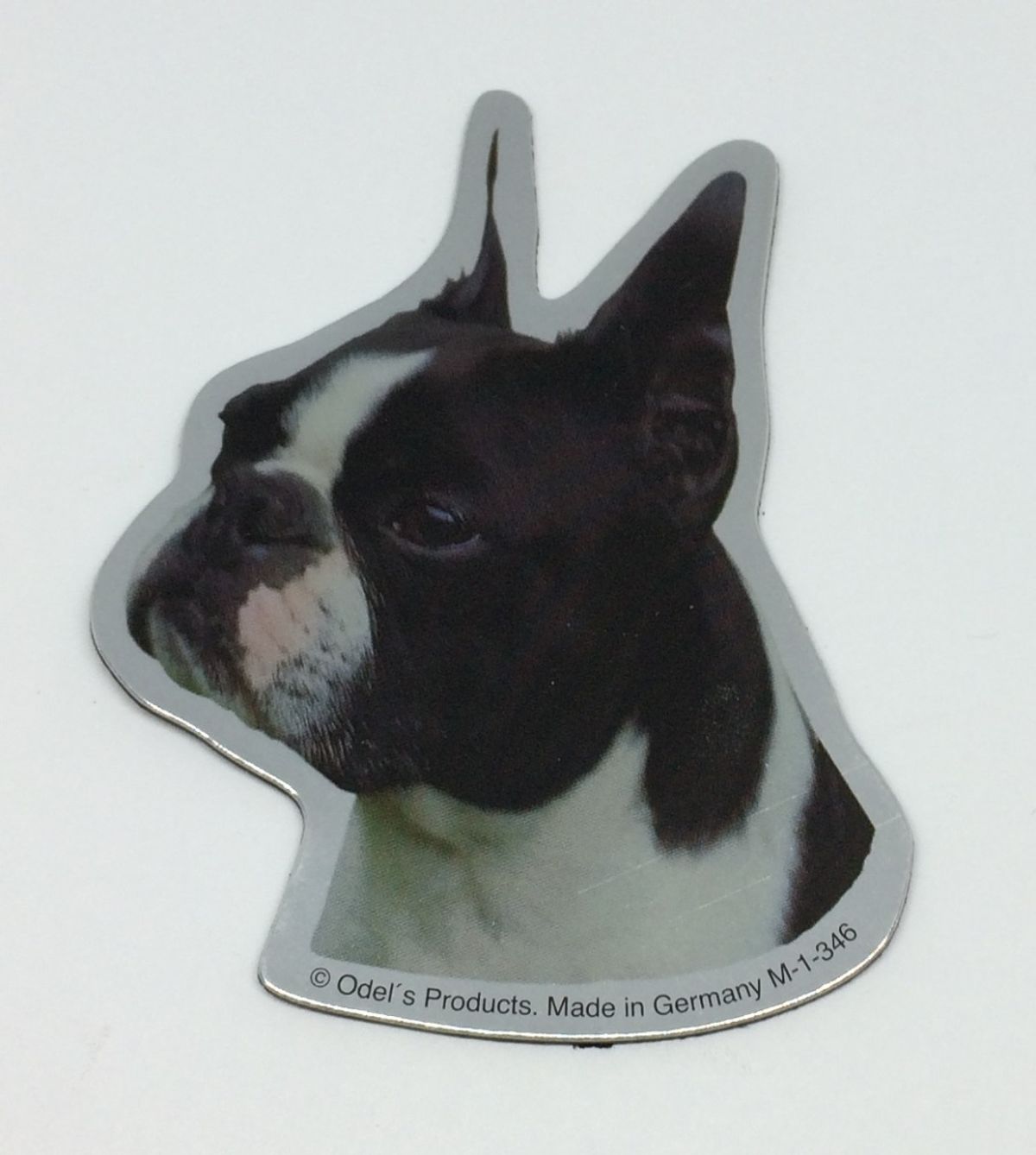 Magnet med Boston terrier