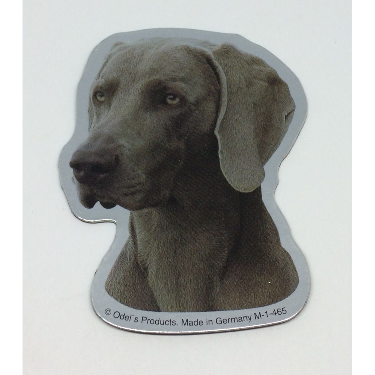 Magnet med Weimaraner