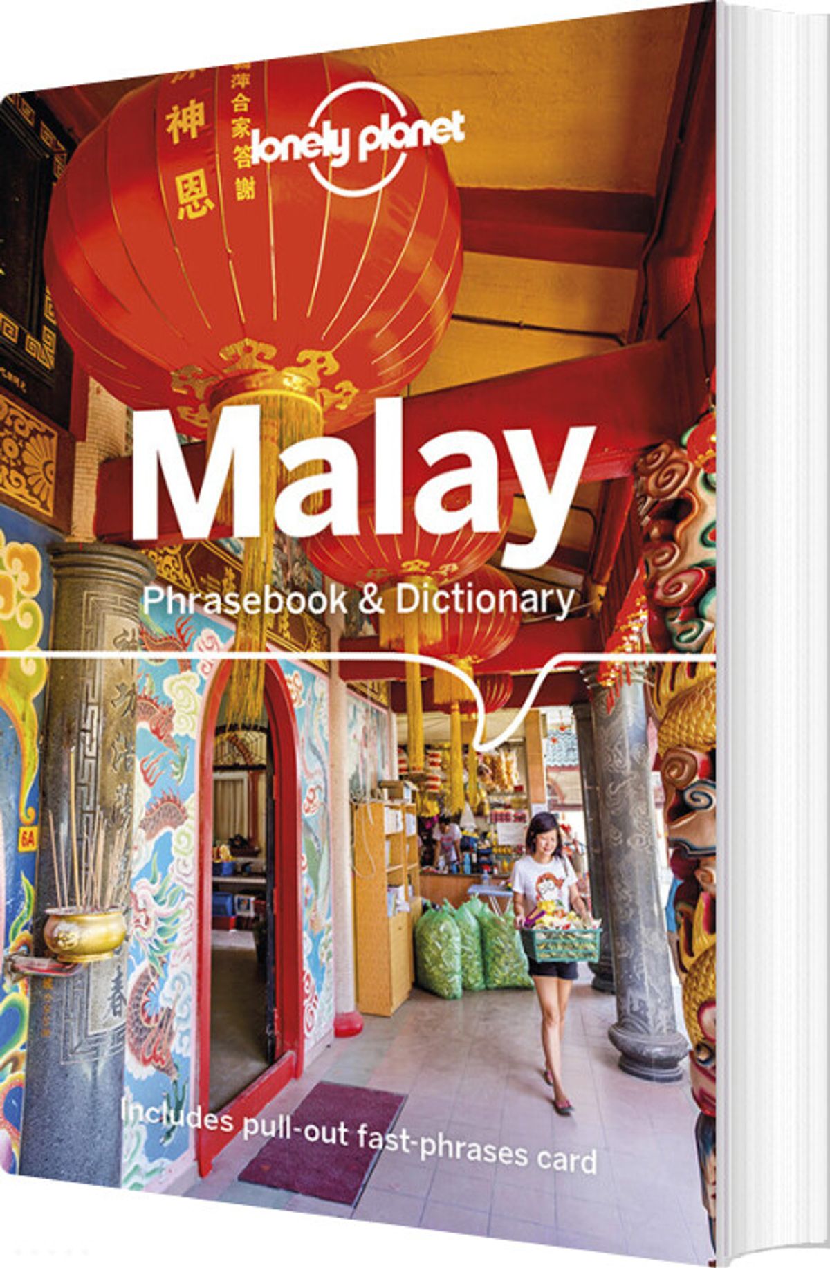 Malay Phrasebook & Dictionary - Diverse - English Book