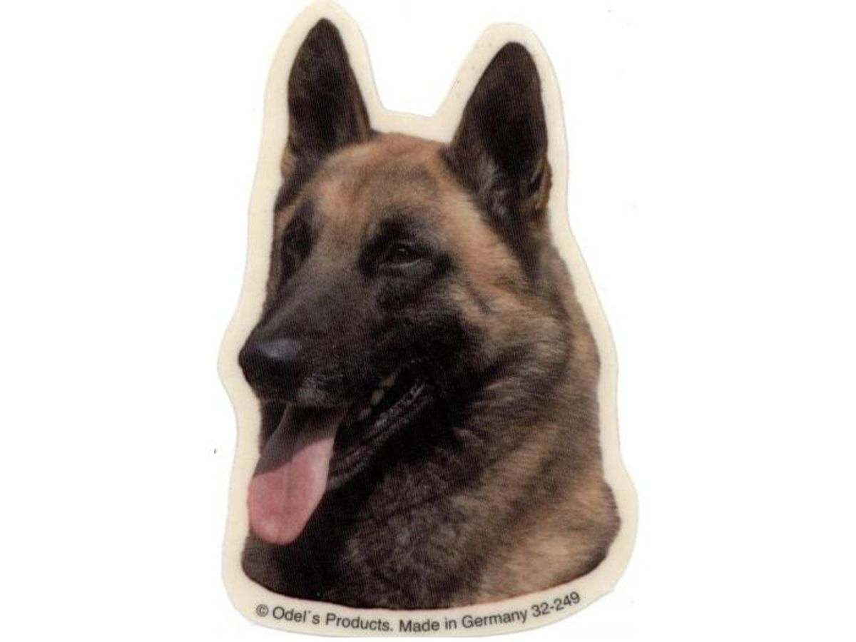 Malinois/Belgisk Hyrdehund, hv. Vælg: klistermærke, nøglering, broche, slipsenål, mm.