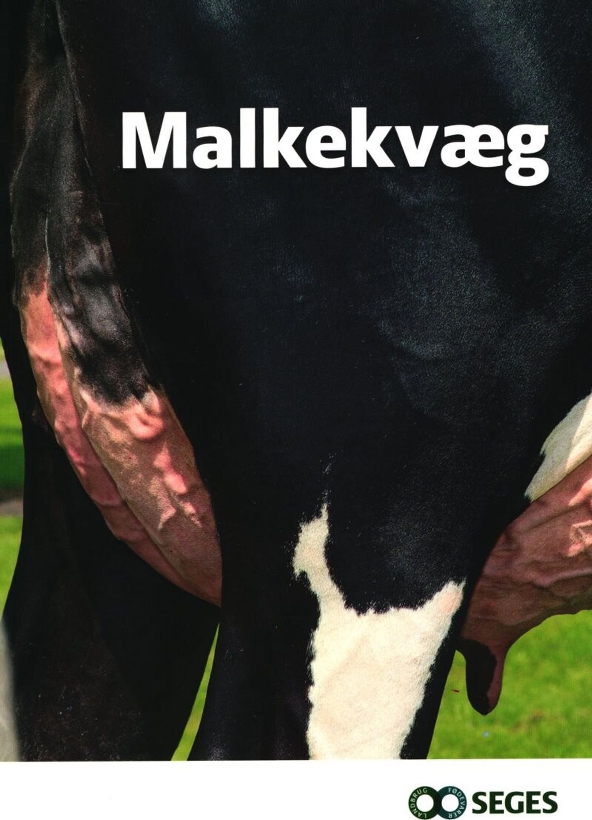 Malkekvæg - Lars Pedersen - Bog