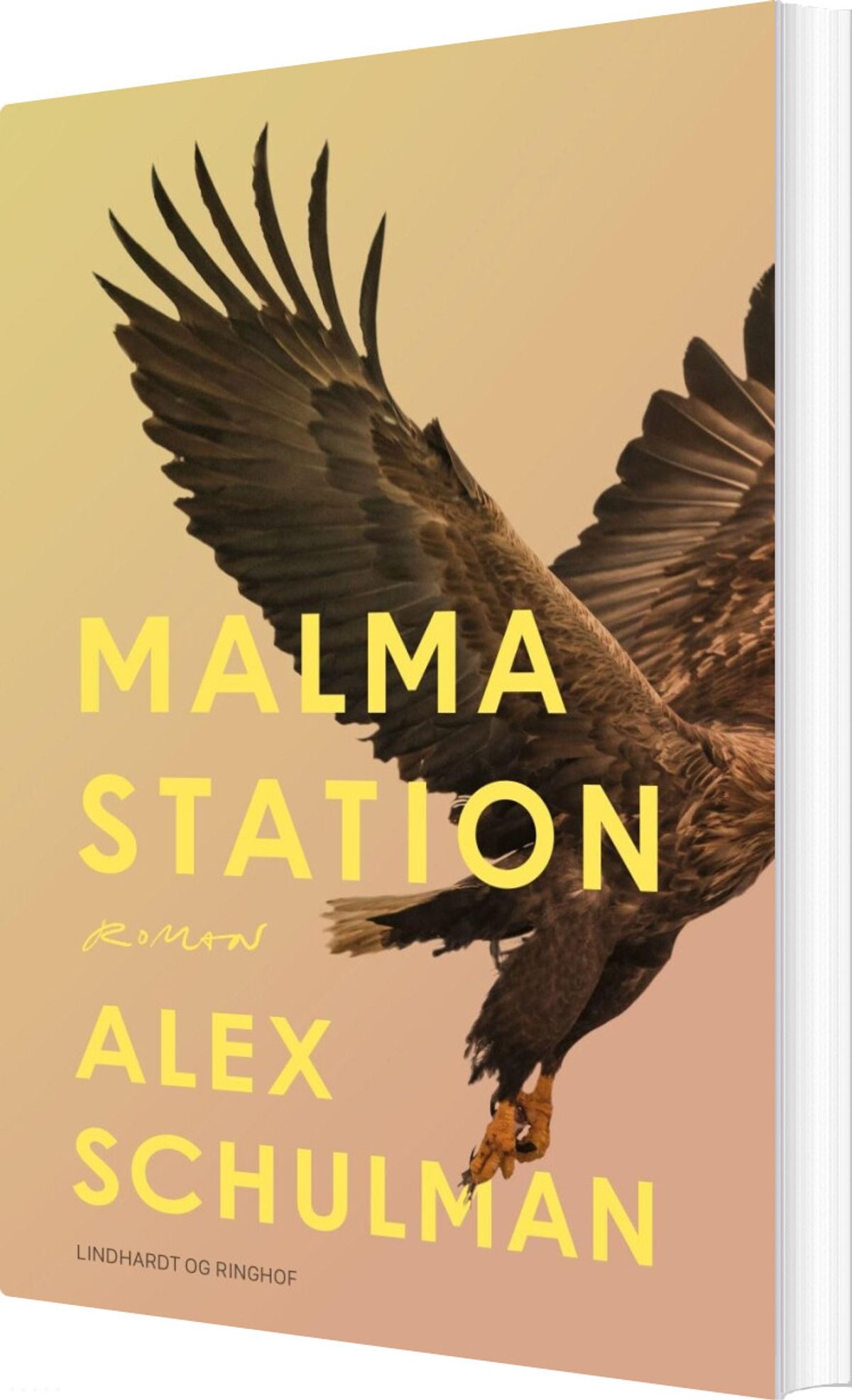 Malma Station - Alex Schulman - Bog