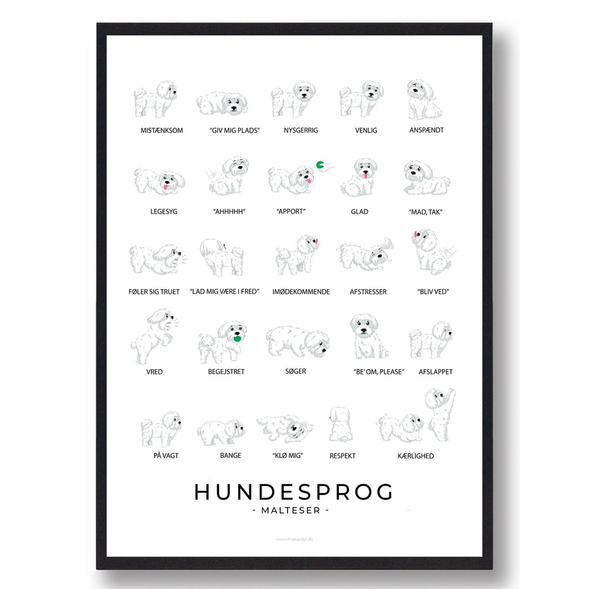 Malteser plakat - Hundesprog (Størrelse: L - 50x70cm (B2))