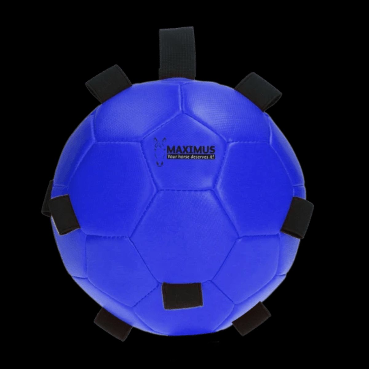 Maximus Fun Play Ball Blue