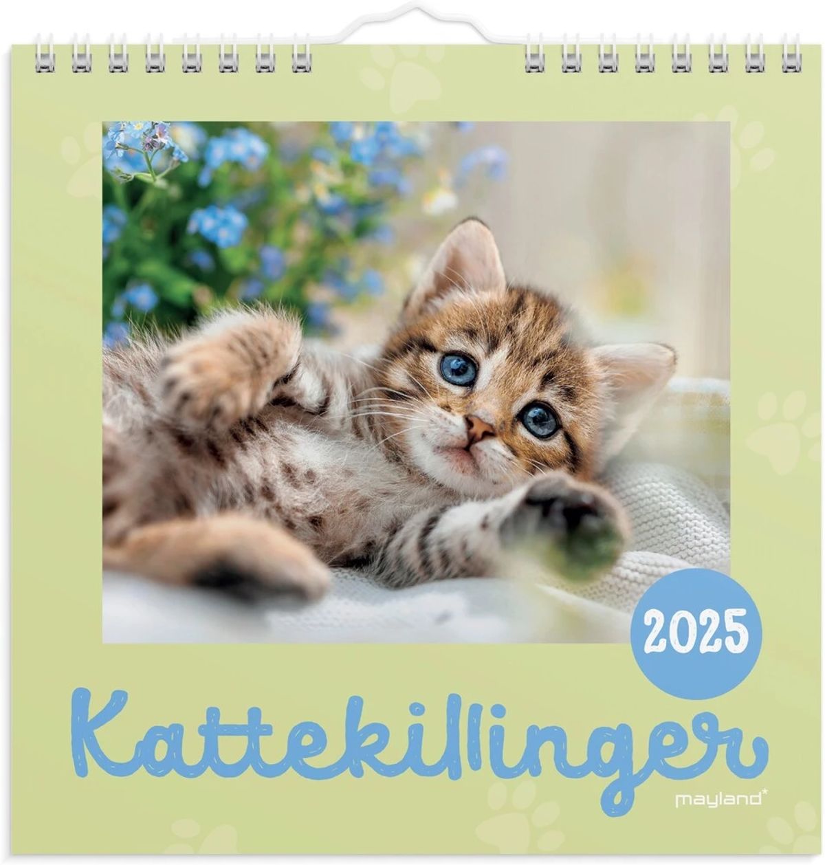 Mayland Vægkalender 2025 kattekillinger 16 x 16 cm