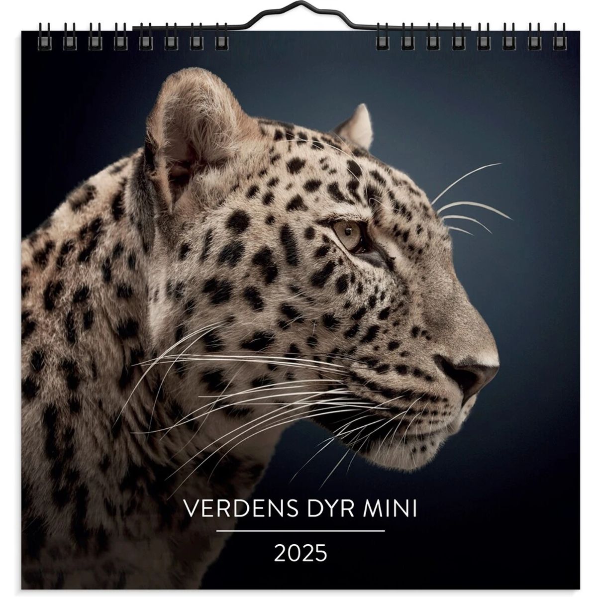 Mayland Vægkalender 2025 verdens dyr 16 x 16 cm