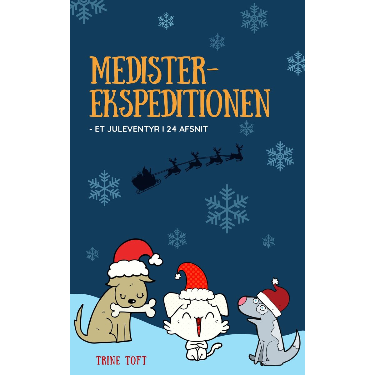 Medister-ekspeditionen