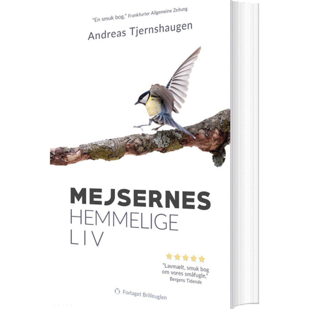 Mejsernes Hemmelige Liv - Andreas Tjernshaugen - Bog