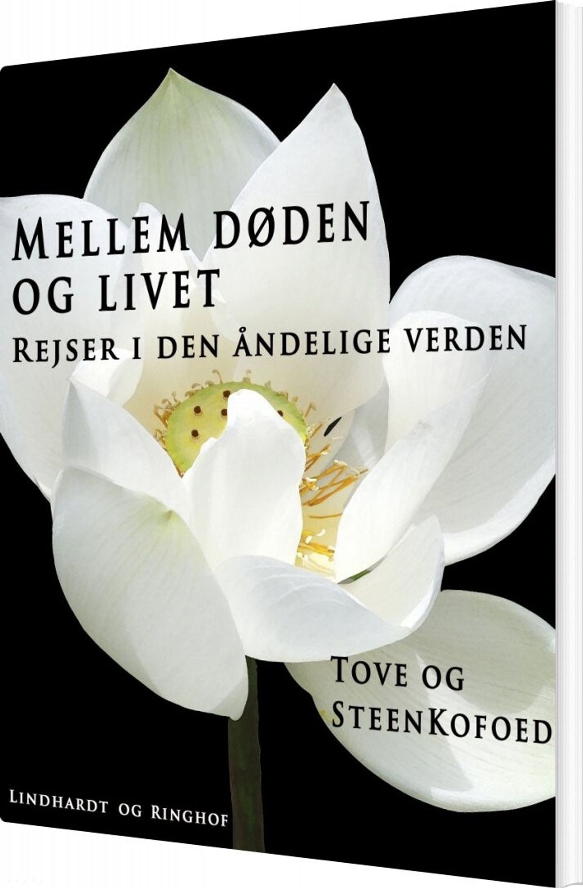 Mellem Døden Og Livet - Steen Kofoed - Bog