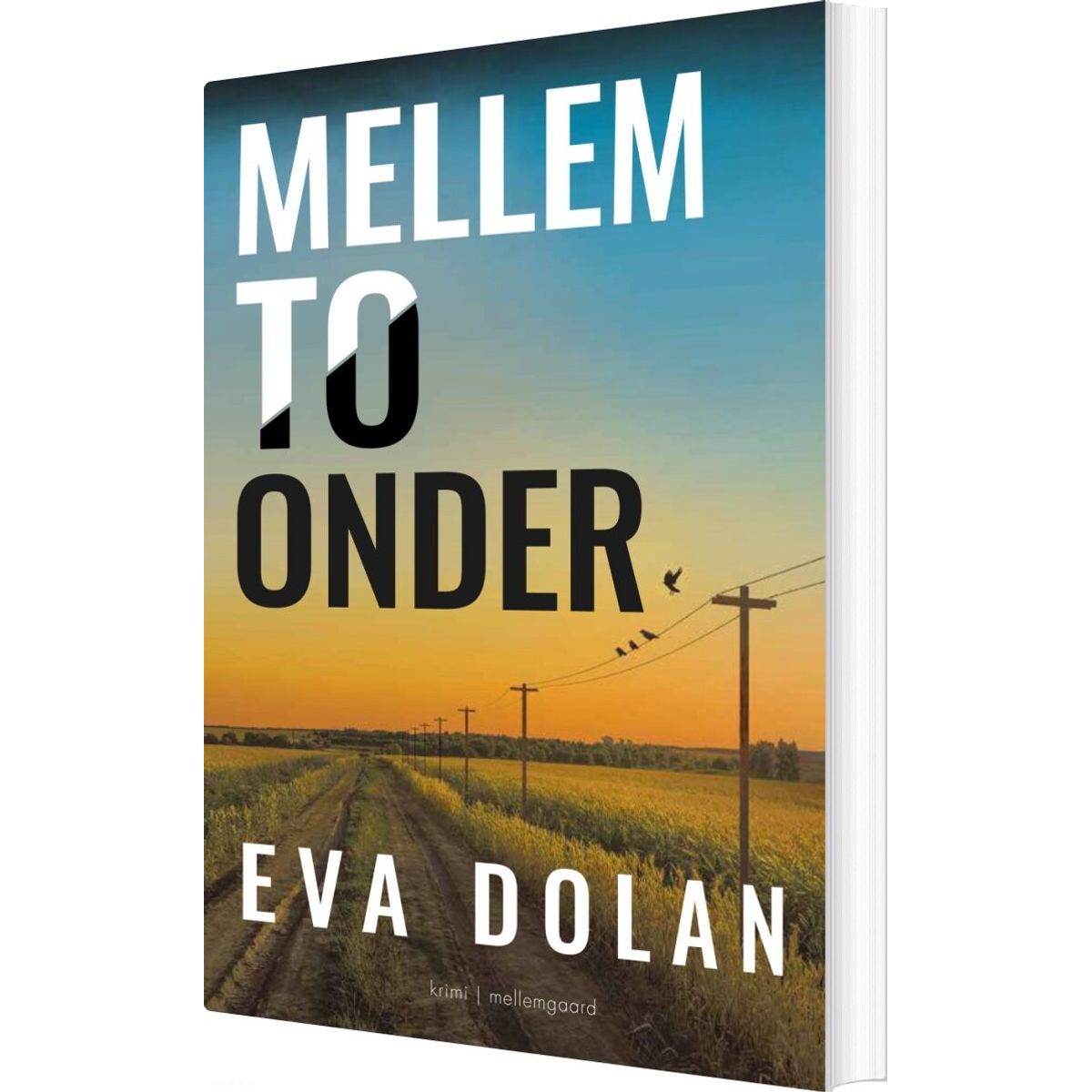 Mellem To Onder - Eva Dolan - Bog