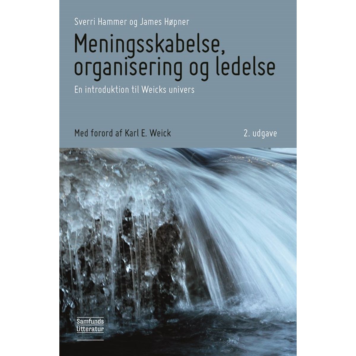 Meningsskabelse, organisering og ledelse