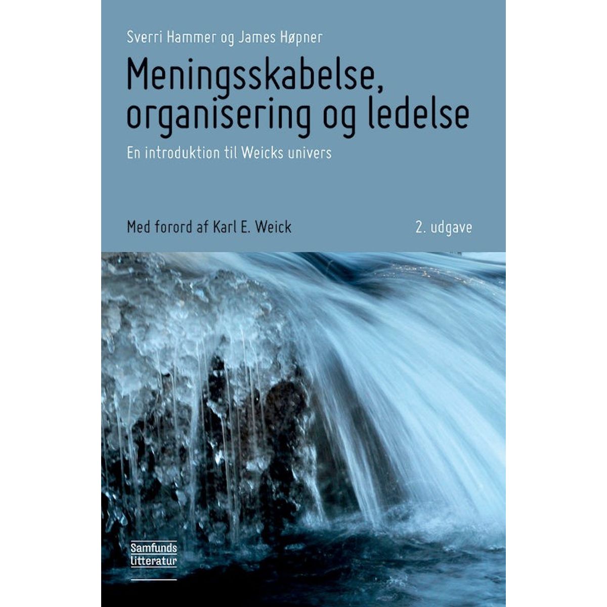 Meningsskabelse, organisering og ledelse