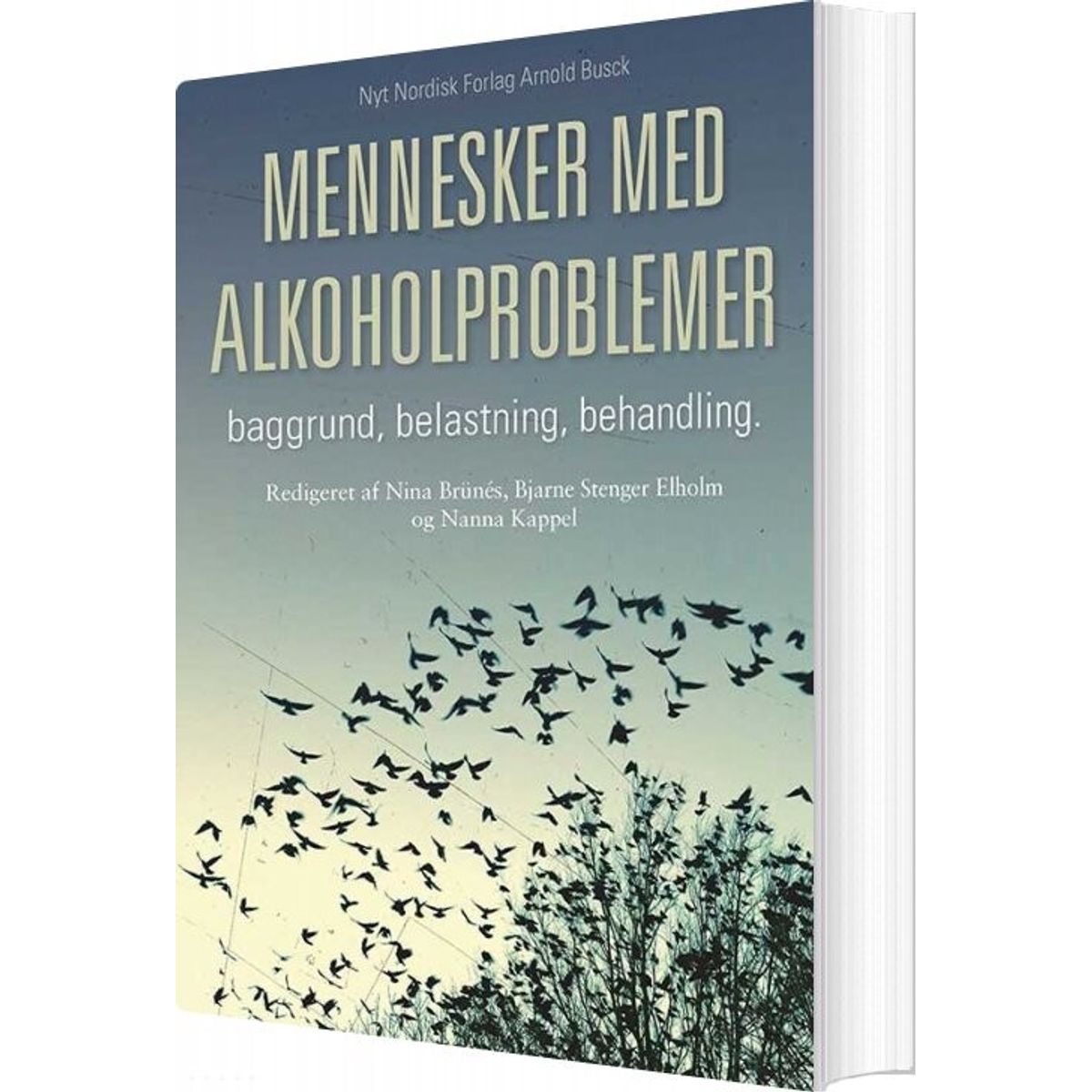 Mennesker Med Alkoholproblemer - Nanna Kappel - Bog