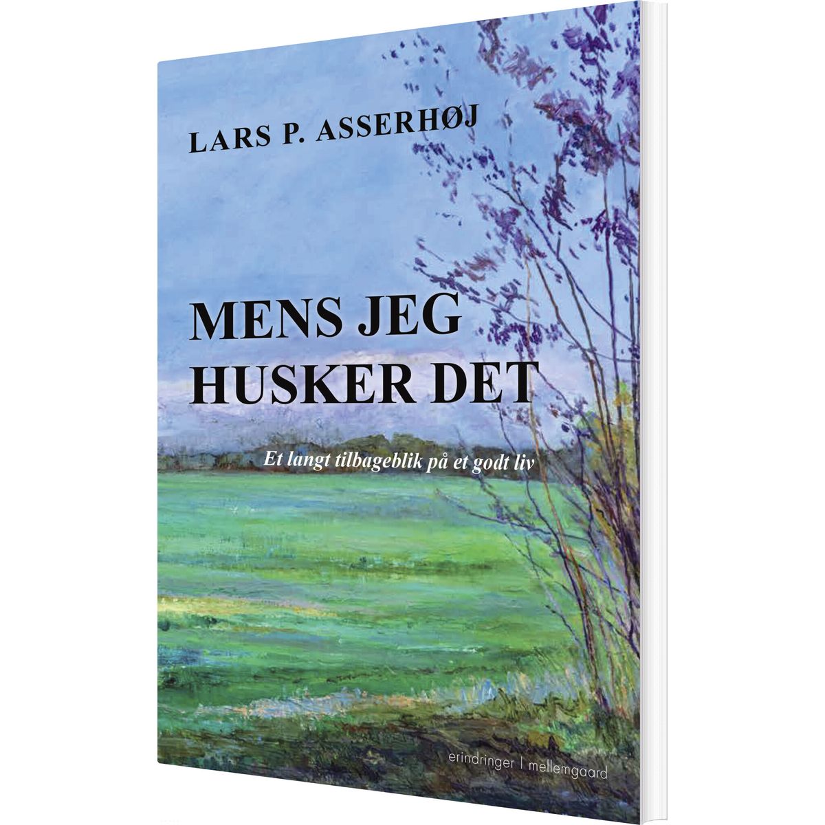 Mens Jeg Husker Det - Lars P. Asserhøj - Bog