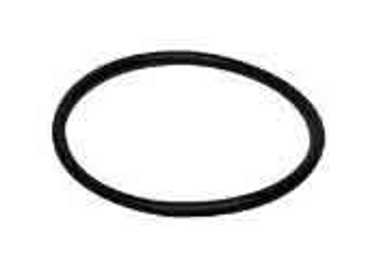 Mercruiser vandpumpe o ring - 2538099