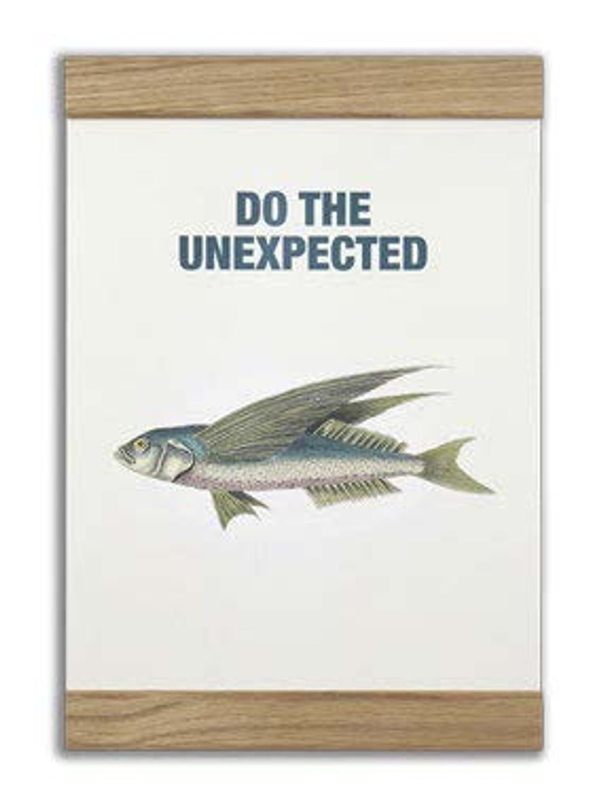 Message Earth - Do the unexpected, 2-in-one