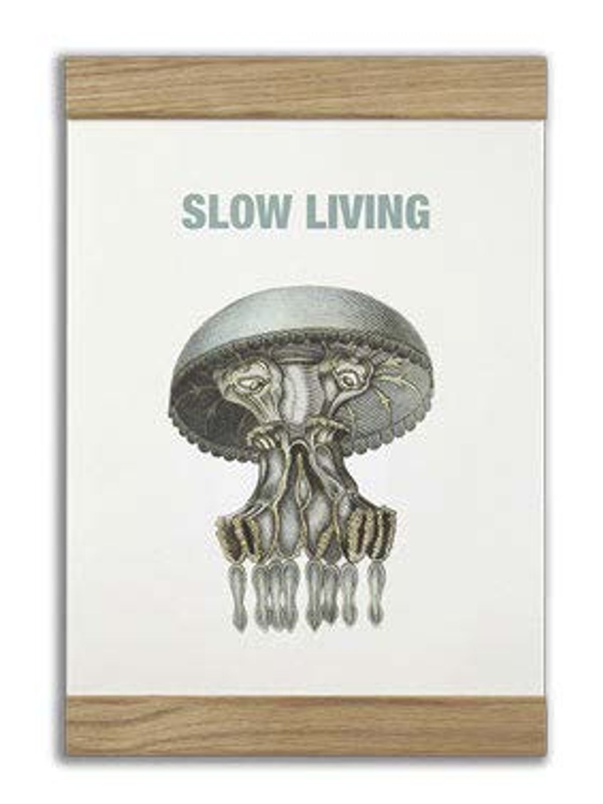 Message Earth - Slow living, 2-in-one